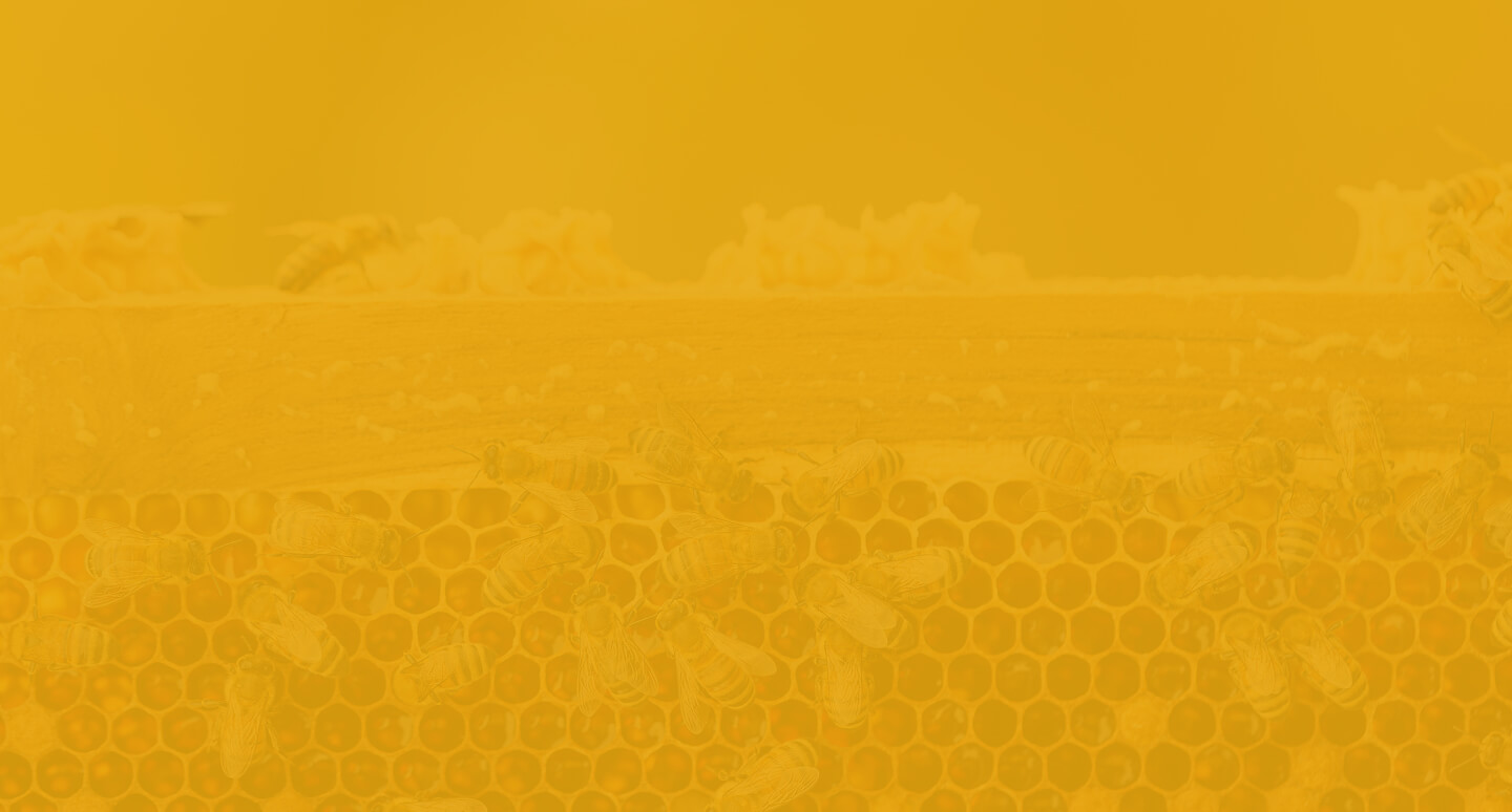 bg-footer-desktop