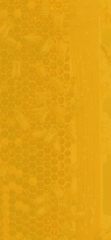 bg-footer-mobile