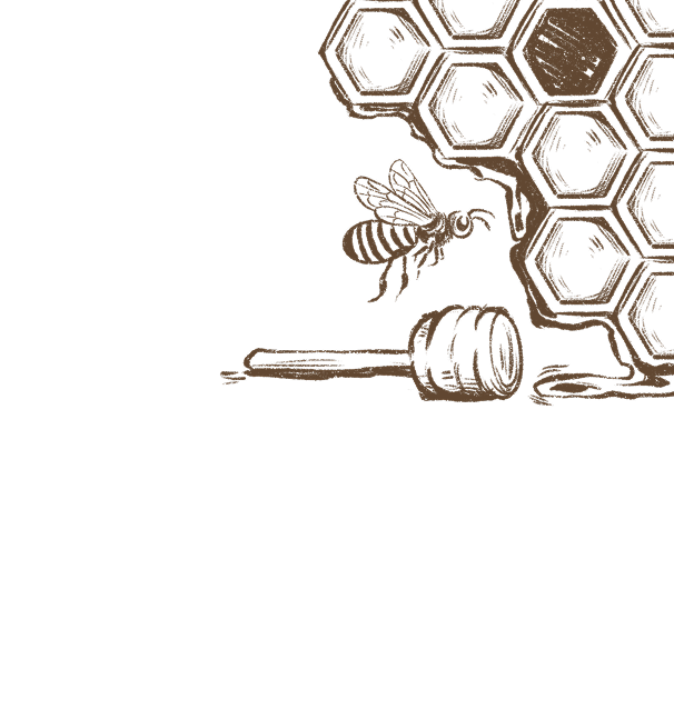 section-our-products-bg-vector-1
