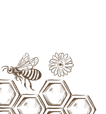 section-our-products-bg-vector-2