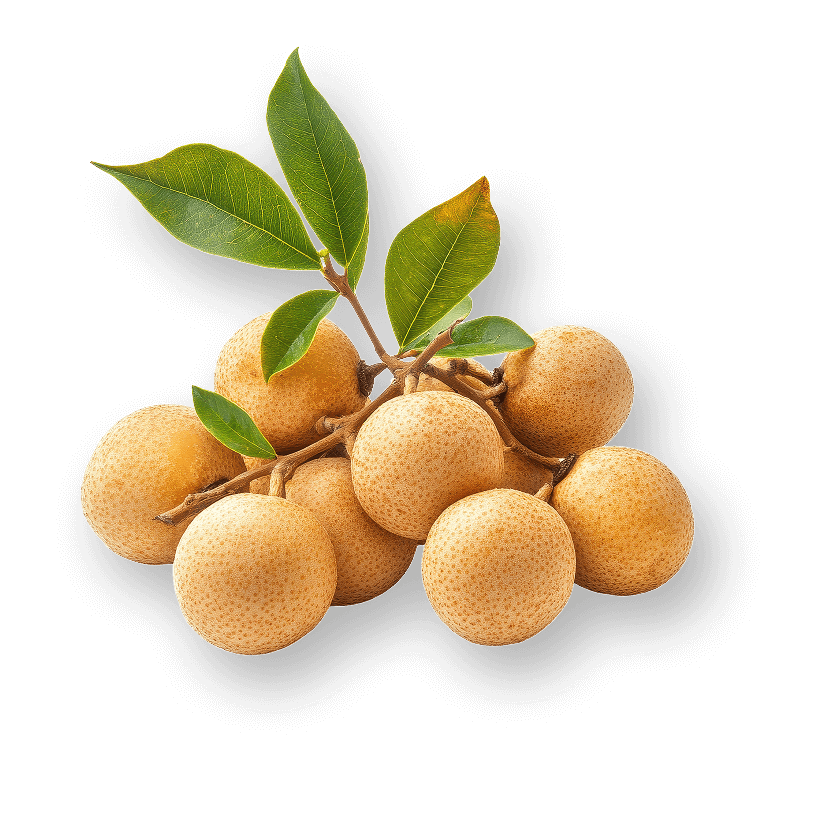 img-longan-2x