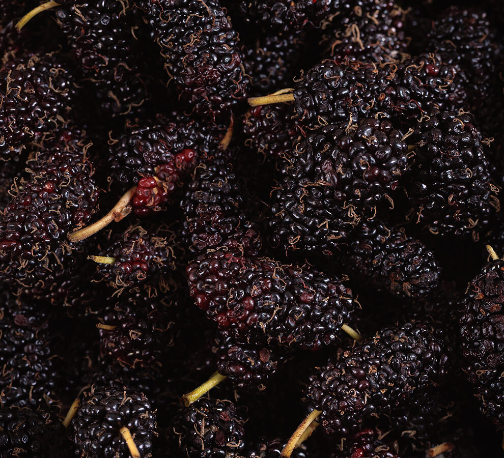img-mulberries-1